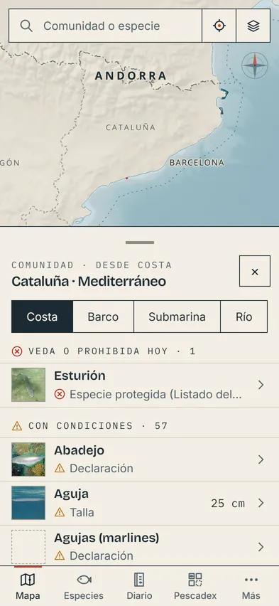 La carta de Anzolia con la consulta de Cataluña desde costa: la lista de especies agrupadas en vedadas hoy y con condiciones, con su talla.