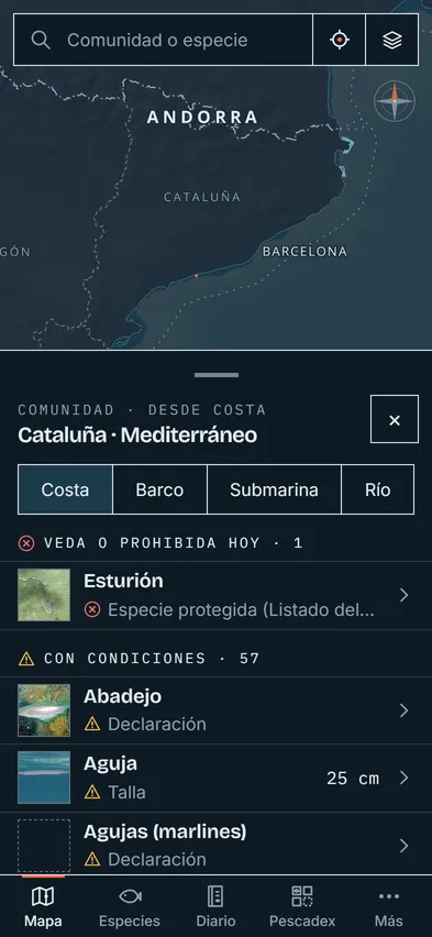 La carta de Anzolia con la consulta de Cataluña desde costa: la lista de especies agrupadas en vedadas hoy y con condiciones, con su talla.
