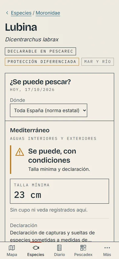Ficha de la lubina: «Se puede, con condiciones», talla mínima de 23 cm en el Mediterráneo y la declaración en PescaREC.