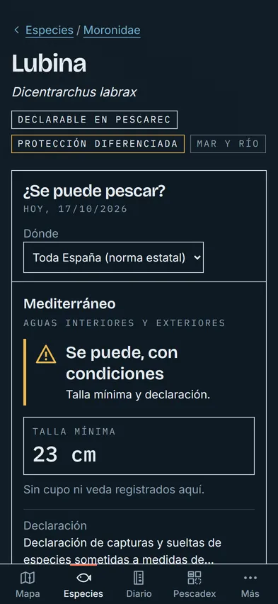 Ficha de la lubina: «Se puede, con condiciones», talla mínima de 23 cm en el Mediterráneo y la declaración en PescaREC.
